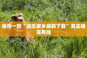 推荐一款“微乐家乡麻将下载”其实确实有挂