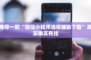 推荐一款“微信小程序透视辅助下载”其实确实有挂