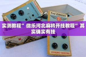 教程辅助“榕城510k开挂辅助软件”其实确实有挂