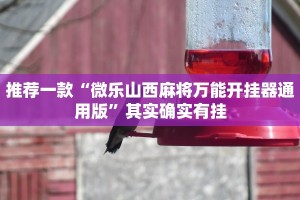 教程辅助!“新九哥大厅透视辅助最新”其实确实有挂
