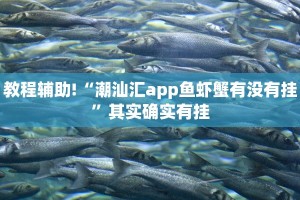 教程辅助!“潮汕汇app鱼虾蟹有没有挂”其实确实有挂