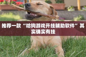 推荐一款“哈狗游戏开挂辅助软件”其实确实有挂