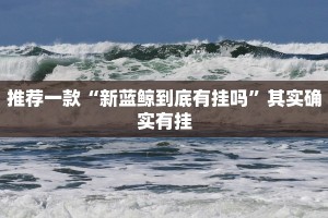 推荐一款“新蓝鲸到底有挂吗”其实确实有挂