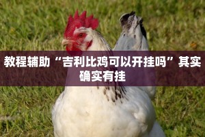 教程辅助“吉利比鸡可以开挂吗”其实确实有挂