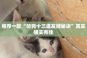 推荐一款“网易棋牌开挂神器”其实确实有挂