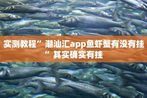 实测教程”17麻将众娱十三水胜率”其实确实有挂