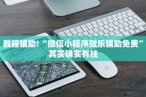 教程辅助!“微乐打麻将如何打赢”其实确实有挂
