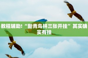 教程辅助!“小程序杭州麻将怎么开挂”其实确实有挂