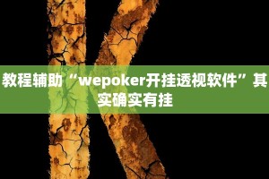 教程辅助“wepoker开挂透视软件”其实确实有挂