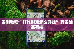 推荐一款“新老夫子有挂吗”其实确实有挂