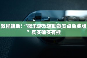 教程辅助!“微乐麻将有规律吗为什么总输”其实确实有挂