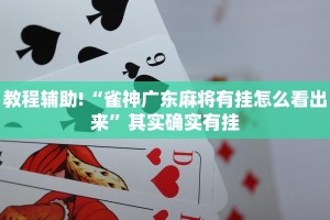 教程辅助!“新鸿狐有挂吗”其实确实有挂