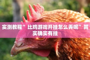 实测教程”比鸡游戏开挂怎么弄呢”其实确实有挂
