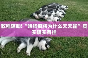 教程辅助!“微乐春天扑克开挂辅助”其实确实有挂
