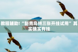 教程辅助!“新青鸟拼三张开挂试用”其实确实有挂