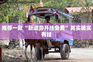 推荐一款“新道游开挂免费”其实确实有挂
