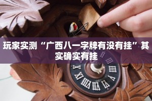 教程辅助“陕麻圈开挂神器”其实确实有挂
