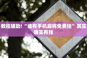 推荐一款“大宝连云港麻将开挂”其实确实有挂