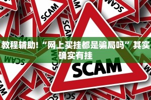 教程辅助!“网上买挂都是骗局吗”其实确实有挂