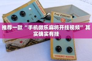 推荐一款“手机微乐麻将开挂视频”其实确实有挂
