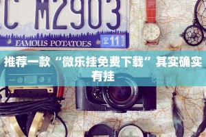 推荐一款“微乐挂免费下载”其实确实有挂