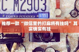 教程辅助!“微乐万能开挂器通用版ios”其实确实有挂