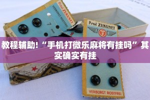 教程辅助!“微乐麻将开挂的方法”其实确实有挂