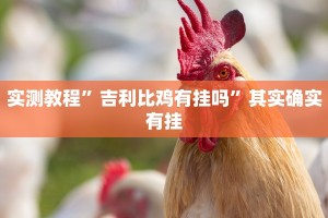 实测教程”吉利比鸡有挂吗”其实确实有挂