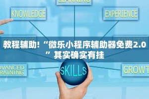 教程辅助!“微乐小程序辅助器免费2.0”其实确实有挂