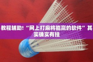 教程辅助!“网上打麻将能赢的软件”其实确实有挂