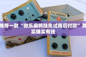 推荐一款“微乐麻将挂先试用后付款”其实确实有挂