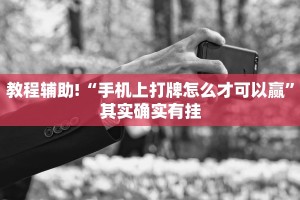 教程辅助!“天天贵阳麻将开挂神器”其实确实有挂