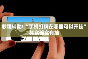 教程辅助!“手机打牌在哪里可以开挂”其实确实有挂