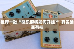 教程辅助!“微信微乐陕西麻将开挂视频”其实确实有挂