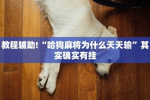 教程辅助!“哈狗麻将为什么天天输”其实确实有挂