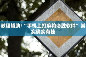 教程辅助!“手机上打麻将必胜软件”其实确实有挂