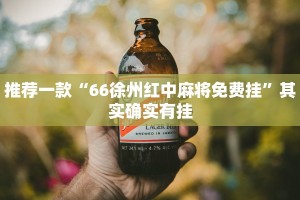 推荐一款“66徐州红中麻将免费挂”其实确实有挂
