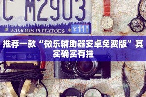 推荐一款“微乐辅助器安卓免费版”其实确实有挂