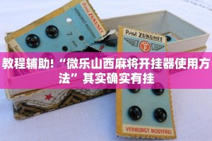 教程辅助!“微乐保皇开挂器是什么软件”其实确实有挂
