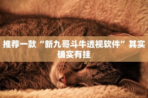 推荐一款“新九哥斗牛透视软件”其实确实有挂