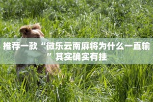 推荐一款“途游四川麻将外卦神器”其实确实有挂