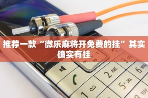 教程辅助!“微乐必赢辅助器免费安装华为”其实确实有挂