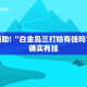 教程辅助!“战皇大厅开挂透视”其实确实有挂