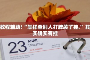 教程辅助!“怎样查别人打牌装了挂.”其实确实有挂