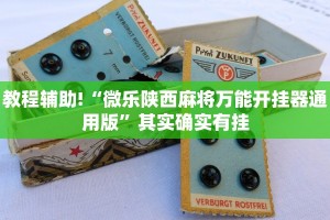 教程辅助!“微乐陕西麻将万能开挂器通用版”其实确实有挂
