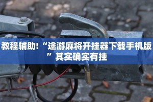 推荐一款“麻将可以开挂的软件”其实确实有挂