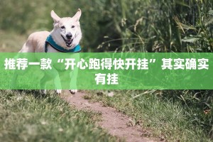 教程辅助!“天天贵阳麻将开挂神器”其实确实有挂