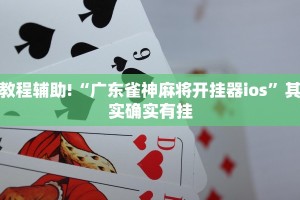推荐一款“微乐双扣辅助神器开挂”其实确实有挂