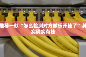 推荐一款“怎么检测对方微乐开挂了”其实确实有挂
