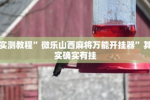 教程辅助“新永和大厅开挂教程步骤”其实确实有挂